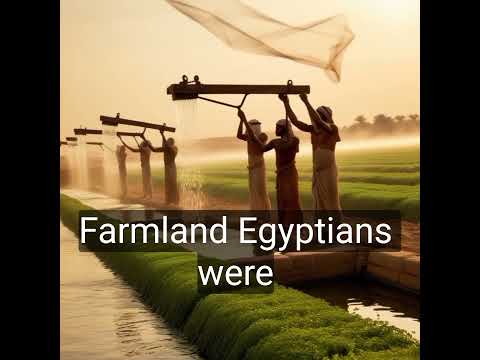 How Ancient Egypt Revolutionized Farming #ancienthistory